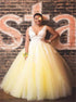 Ball Gown V Neck Pink Tulle Long Prom Dress with Lace Appliques LBQ3306
